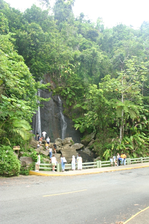 Coca Falls, a stop on the rainforest tour
